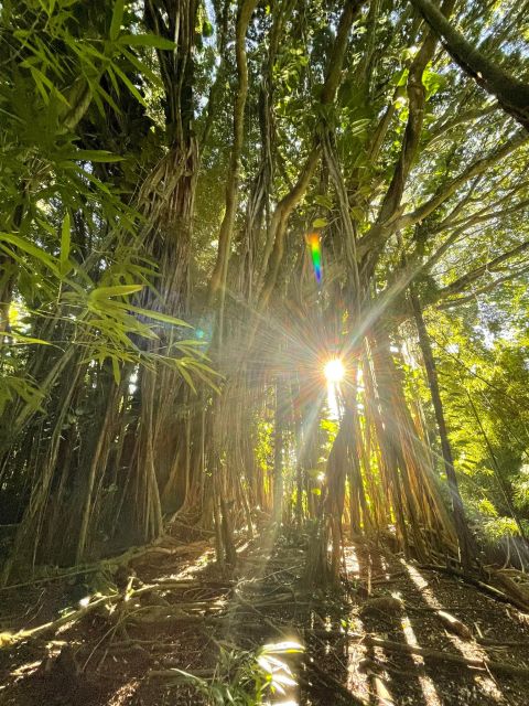Oahu: Hidden Hawaii Waterfall Hike and Beach Tour - Key points at a glance