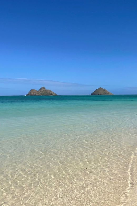 Oahu: Hidden Hawaii Waterfall Hike and Beach Tour - A four-hour taste of Oahu beyond Waikiki