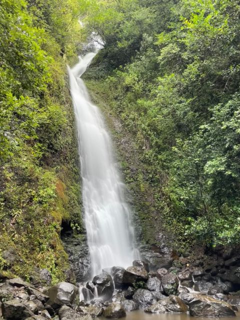 Oahu: Hidden Hawaii Waterfall Hike and Beach Tour - Lulumahu Falls and the forest walk