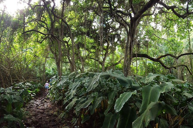 Oahu Hidden Waterfall Hike: A Tropical Paradise Adventure - How private and small-group format affects the day
