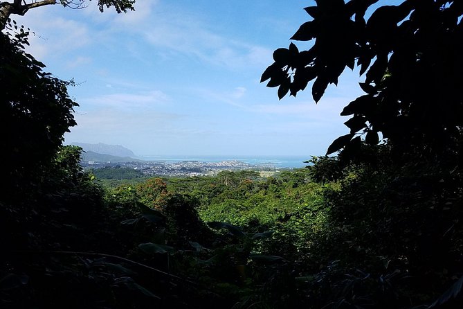Oahu Hidden Waterfall Hike: A Tropical Paradise Adventure - Should you book the Likeke Falls adventure?