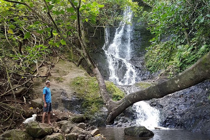 Oahu Hidden Waterfall Hike: A Tropical Paradise Adventure - Following the short trail to Likeke Falls