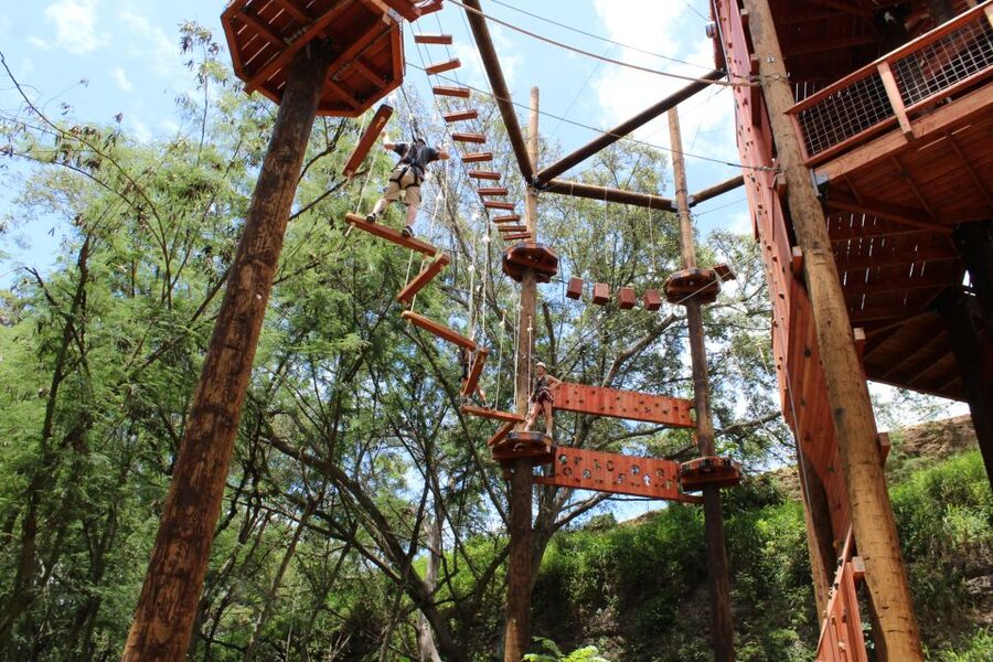 Oahu: High Ropes Adventure, Climbing, & Rappel Experience - What the 90-minute Coral Crater challenge feels like
