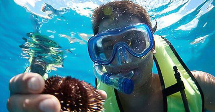 Oahu: Hilton Hawaiian Village Snorkel Tour - A 150-Minute Reef Trip From Hilton Hawaiian Village
