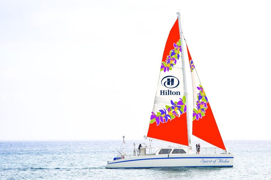 Oahu: Hilton Hawaiian Village Snorkel Tour - Snorkeling With Turtles and Colorful Fish