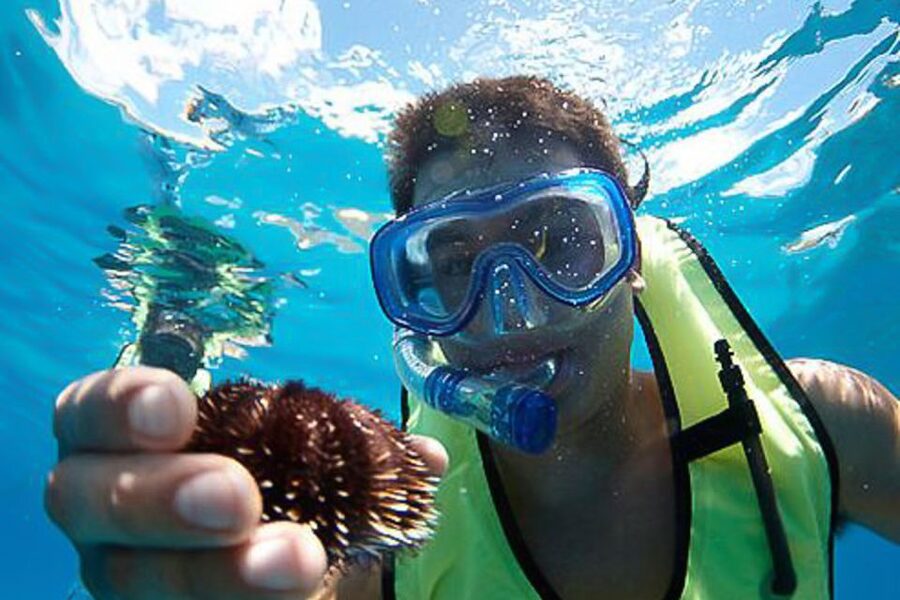 Oahu: Hilton Hawaiian Village Snorkel Tour - Getting Ready Before You Enter the Water