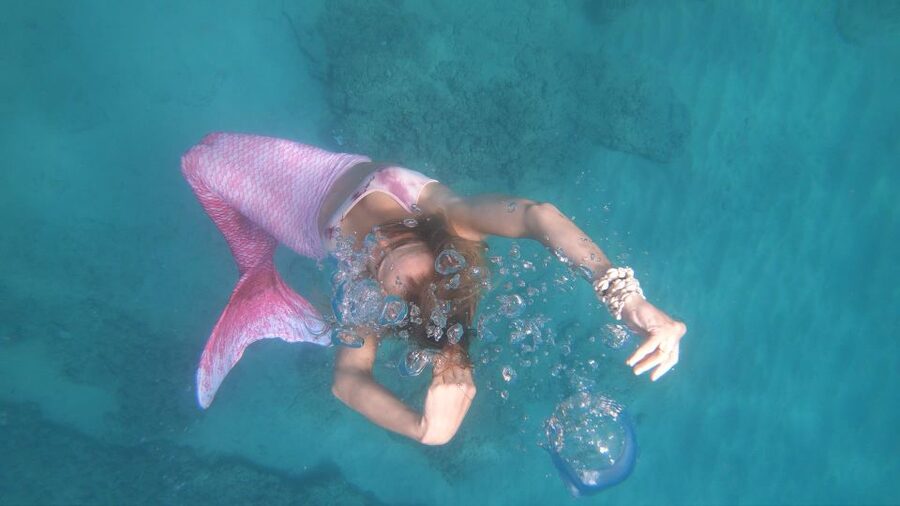 Oahu: Honolulu Mermaid Snorkel Adventure with Videos - Key points to know before you book