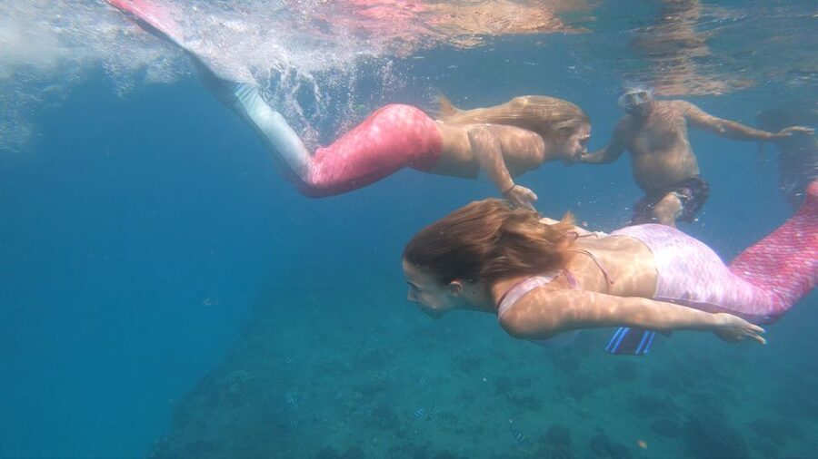 Oahu: Honolulu Mermaid Snorkel Adventure with Videos - Forty minutes of guided snorkeling and sea life