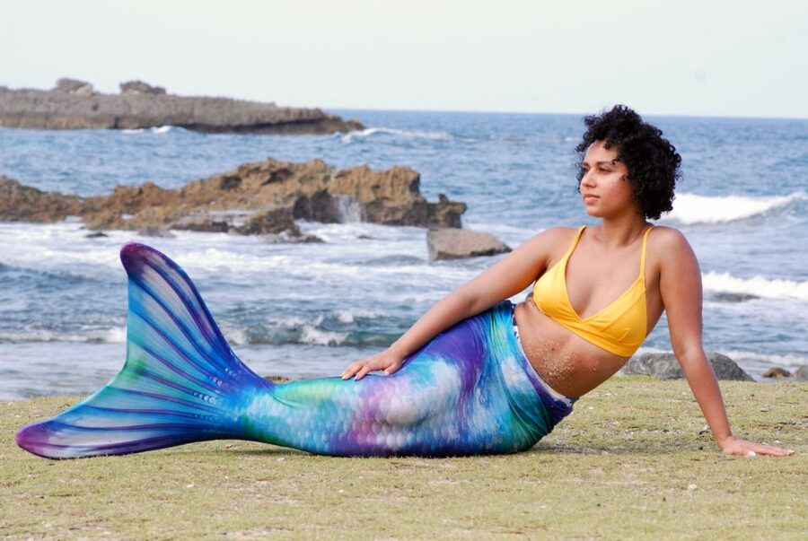 Oahu: Honolulu Mermaid Snorkel Adventure with Videos - The first 20 minutes: safety and mermaid basics