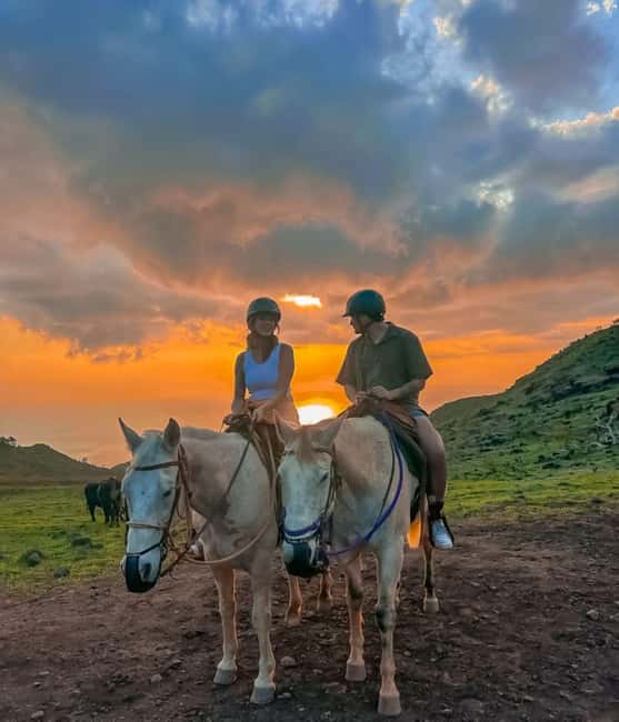 Oahu: Horseback Riding Sunshine or Sunset Tour - Key points to know before you book