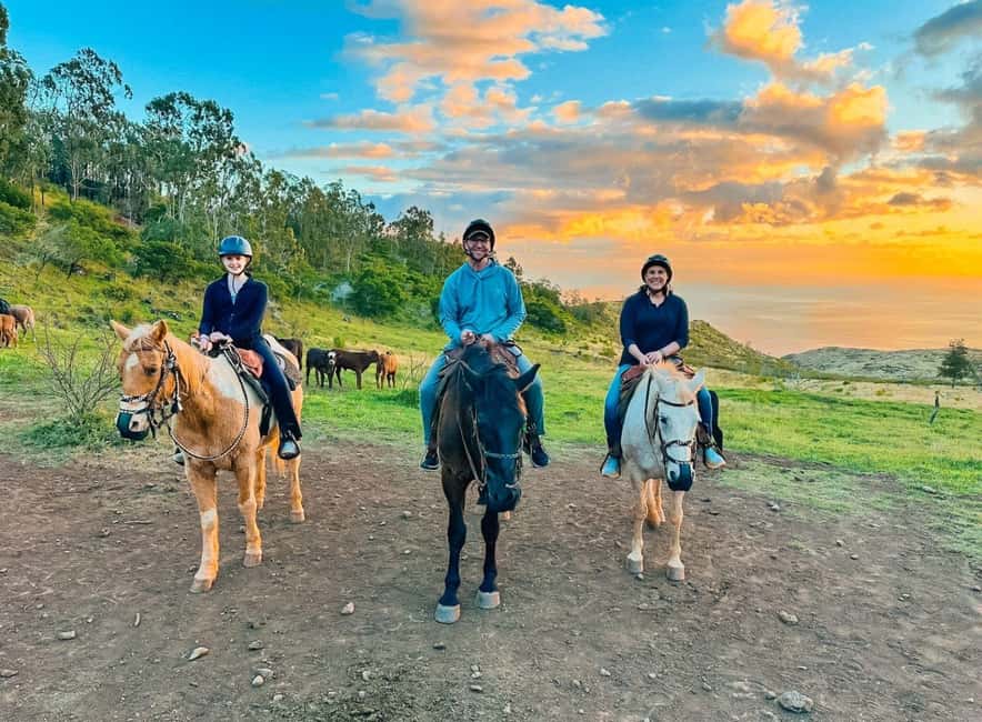 Oahu: Horseback Riding Sunshine or Sunset Tour - Getting comfortable on a horse