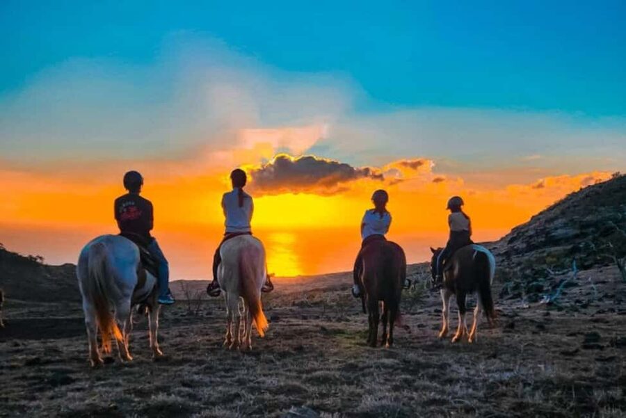 Oahu: Horseback Riding Sunshine or Sunset Tour - Starting at Pālehua Trail Rides in Kapolei