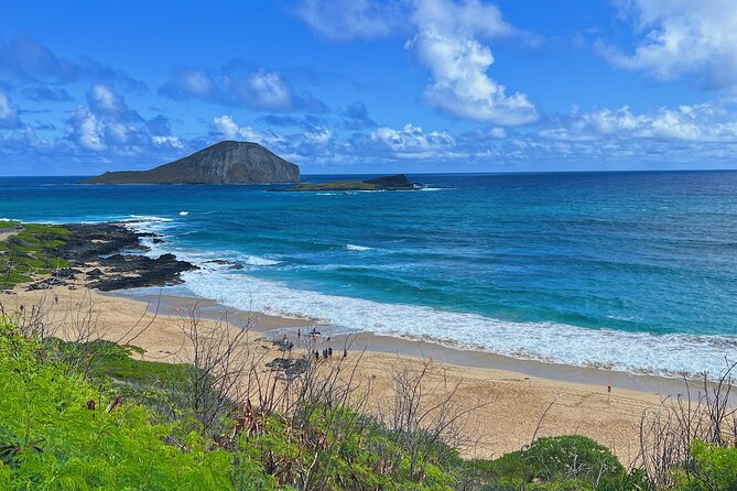 Oahu Island Experience feat the North Shore (Small Group Tour) - Macadamia samples at Tropical Farms