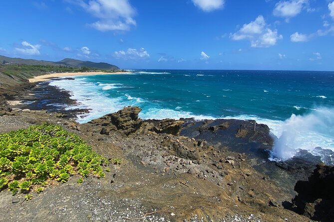 Oahu Island Experience feat the North Shore (Small Group Tour) - Mokoli’i Island and Kualoa Regional Park