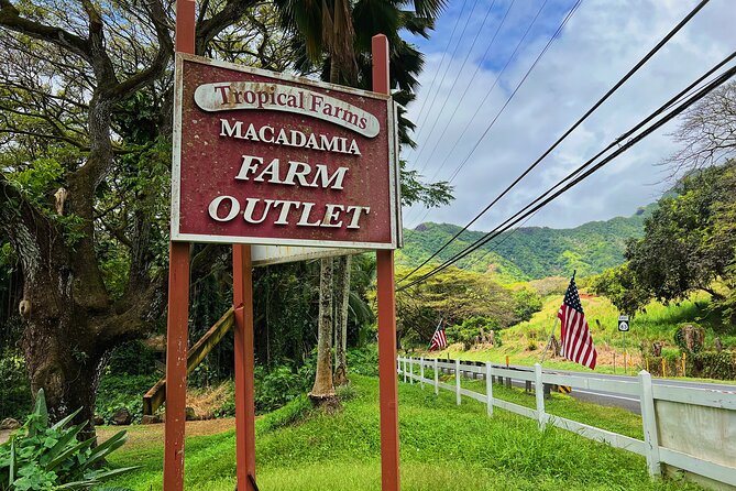Oahu Island Experience feat the North Shore (Small Group Tour) - Sunset Beach and North Shore surf