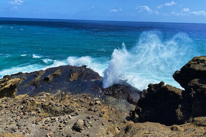 Oahu Island Experience feat the North Shore (Small Group Tour) - From Waikiki to Halona Blowhole