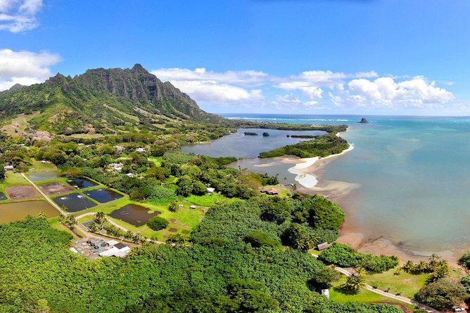 Oahu Island Full-Day Sightseeing Tour - Kahuku: a good time for garlic shrimp