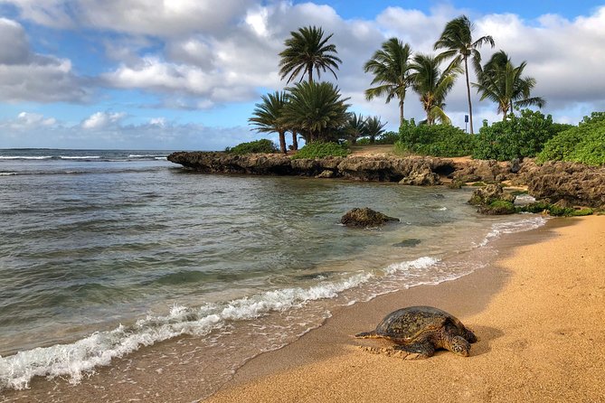 Oahu Island Photography Tour - Is $150 a fair price for eight hours?