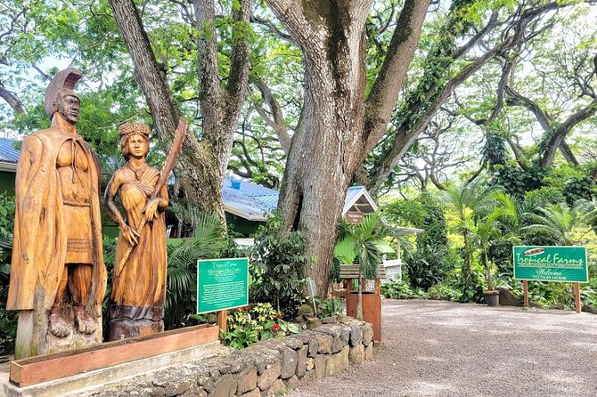 Oahu Island Sightseeing and Food Combo Tour - Why this Oahu tour works as a first full day
