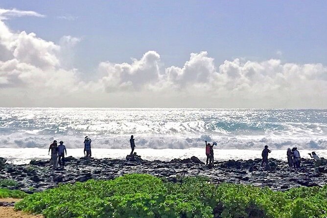Oahu Island Sightseeing and Food Combo Tour - Kahuku garlic shrimp and the North Shore