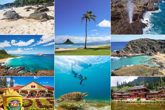 Oahu Island Tour: 13 ppl Max, Snorkel at Turtle Beach + Lunch - Key points to know before booking