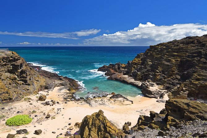 Oahu Island Tour: 13 ppl Max, Snorkel at Turtle Beach + Lunch - What the $149 price really buys