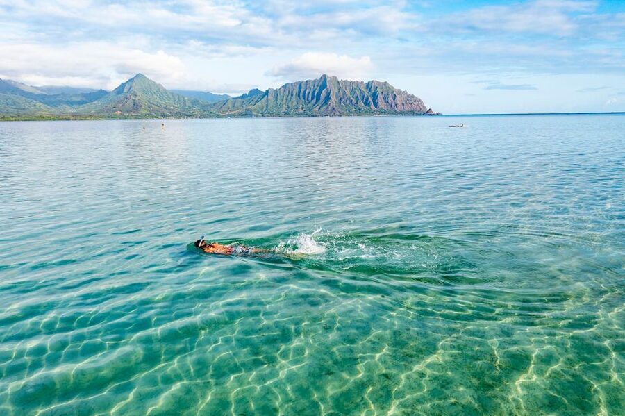 Oahu: Kaneohe Bay Coral Reef Kayaking Rental - Picking up the kayak in Kailua