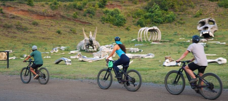 Oahu: Kualoa Electric Bike Tour - Six Miles of Ranch Roads and Viewpoints