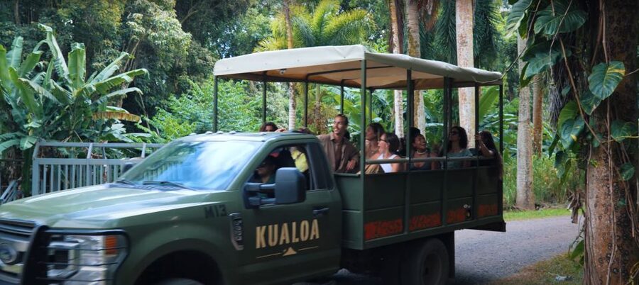 Oahu: Kualoa Jurassic Movie Set Adventure Tour - The open-air vehicle and rough roads