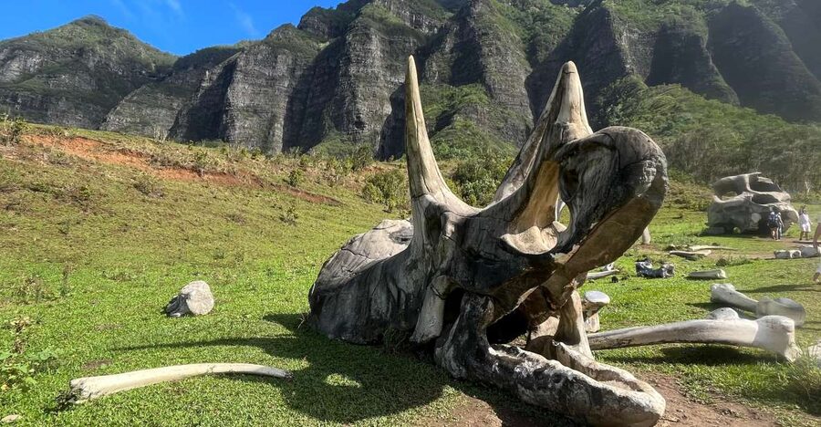 Oahu: Kualoa Movie Sites, Jungle, and Buffet Tour Package - Three ways to see Kualoa Ranch in one day