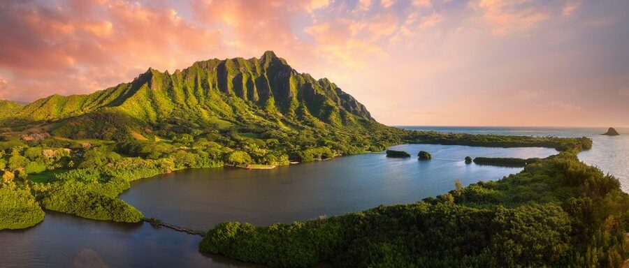 Oahu: Kualoa Movie Sites, Jungle, and Buffet Tour Package - Kualoa Grown, gardens, and the ancient fishpond