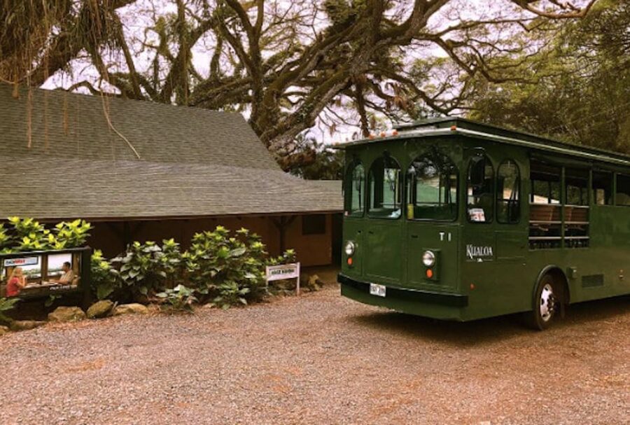 Oahu: Kualoa Movie Sites, Jungle, and Buffet Tour Package - Who will enjoy this Kualoa package most