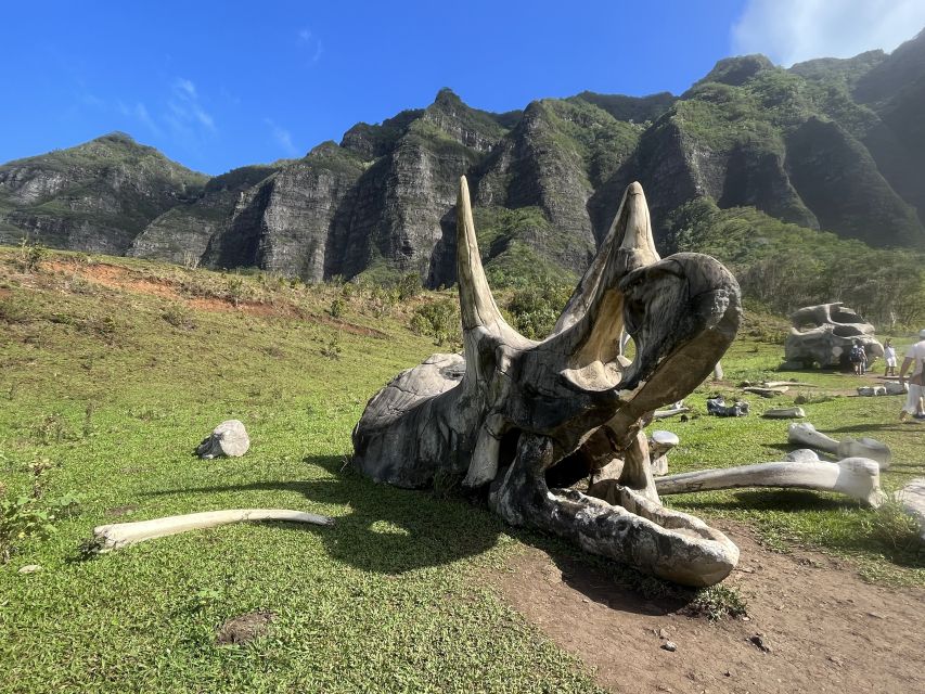 Oahu: Kualoa Movie Sites, Jungle, and Buffet Tour Package - The 90-minute Jungle Expedition