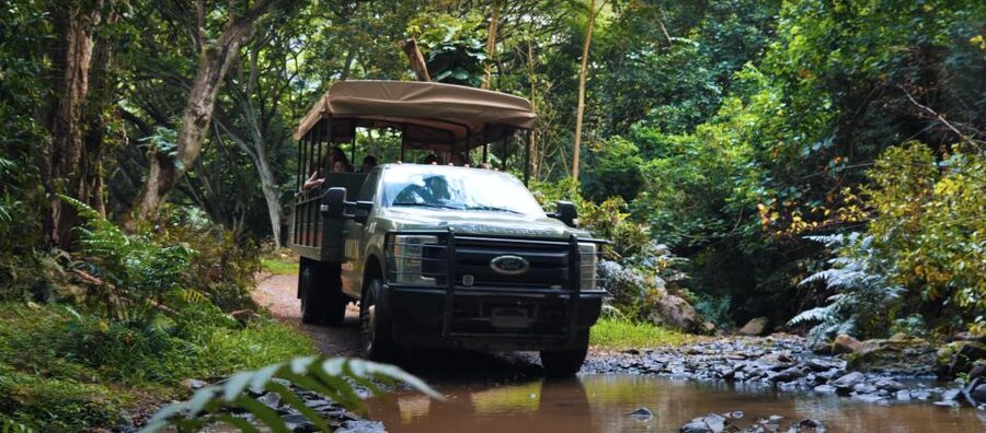 Oahu: Kualoa Open Air Jungle Expedition Tour - Key points to know before you book