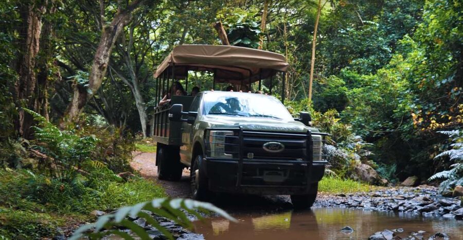 Oahu: Kualoa Open Air Jungle Expedition Tour - Arriving at Kualoa Ranch