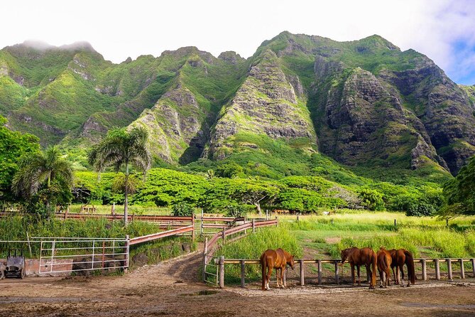 Oahu: Kualoa Ranch UTV Raptor Tour - Why Kualoa Ranch feels different from beach-day Oahu