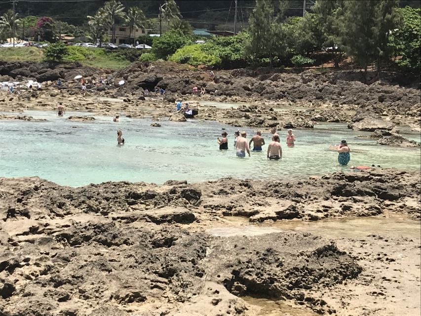 Oahu: Manoa Falls Hike and east side beach day - Should you book this Manoa Falls and Kailua day?