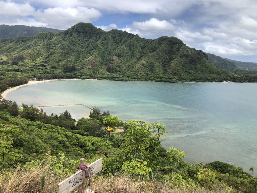 Oahu: Manoa Falls Hike and east side beach day - Kailua brings the practical lunch break