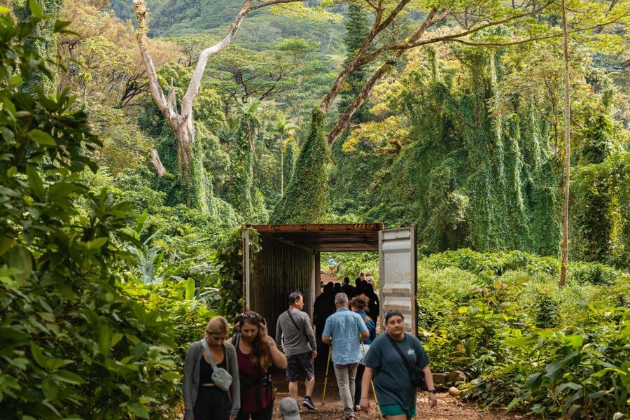 Oahu: Manoa Falls Waterfall Hike with Lunch and Transfers - Key points at a glance