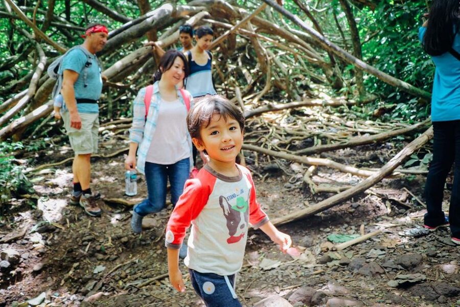 Oahu: Manoa Falls Waterfall Hike with Lunch and Transfers - Reaching the 150-foot waterfall