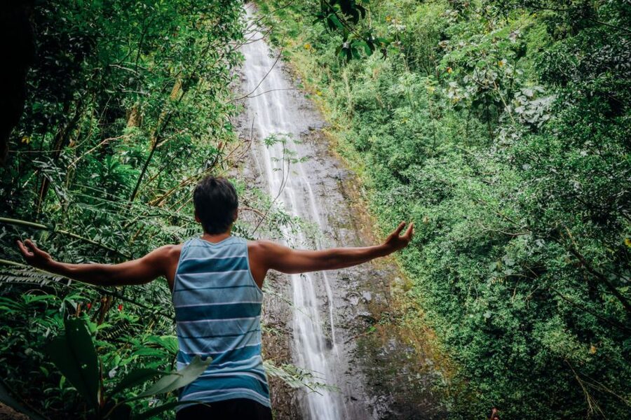 Oahu: Manoa Falls Waterfall Hike with Lunch and Transfers - Who will enjoy this half-day outing?