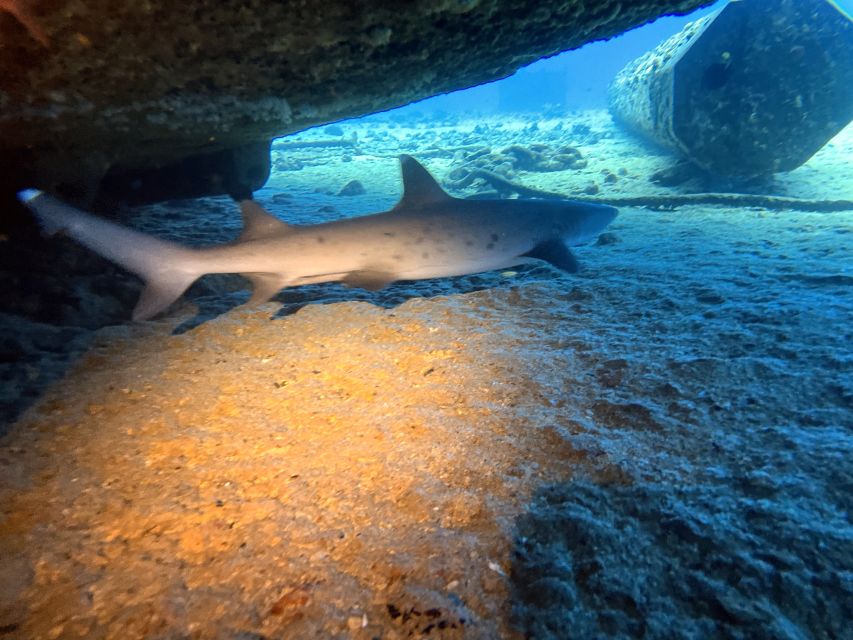 Oahu Night Dive: Adventure for Certified Divers - The sunset surface interval