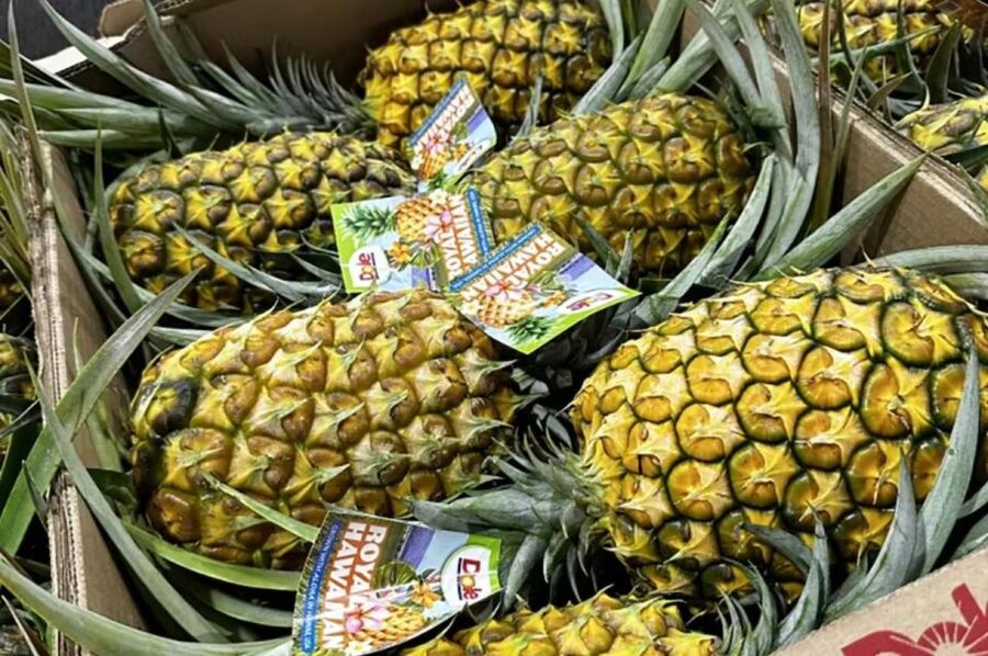 Oahu: North Shore Dole Pineapple Farm Tour - What the Pineapple Stop Adds to the Day