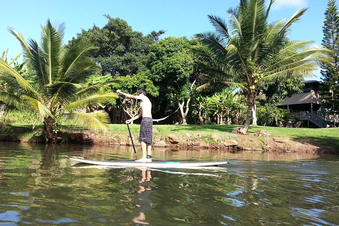 Oahu North Shore Experience: Activities, Waterfall & Free Time - What makes this North Shore day different