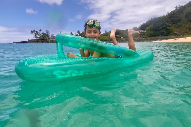 Oahu North Shore Experience: Activities, Waterfall & Free Time - Shark’s Cove: excellent sea life, rough footing