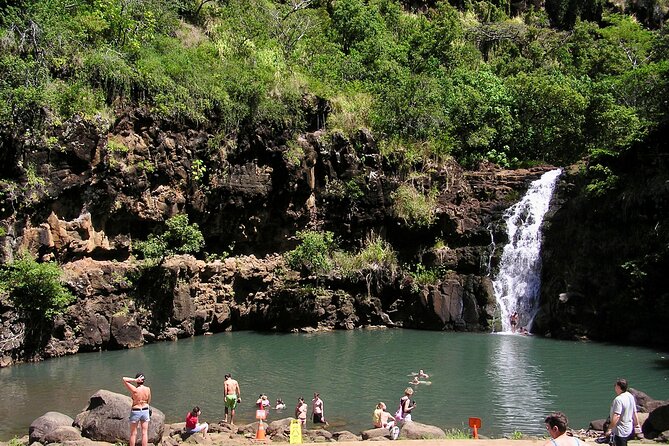 Oahu North Shore Experience: Activities, Waterfall & Free Time - Macadamia nuts and the Windward coast