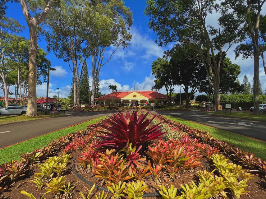 Oahu: North Shore Experience and Dole Plantation - Five things to know before booking
