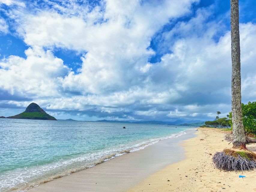 Oahu: North Shore Experience and Dole Plantation - What the guides add to the day