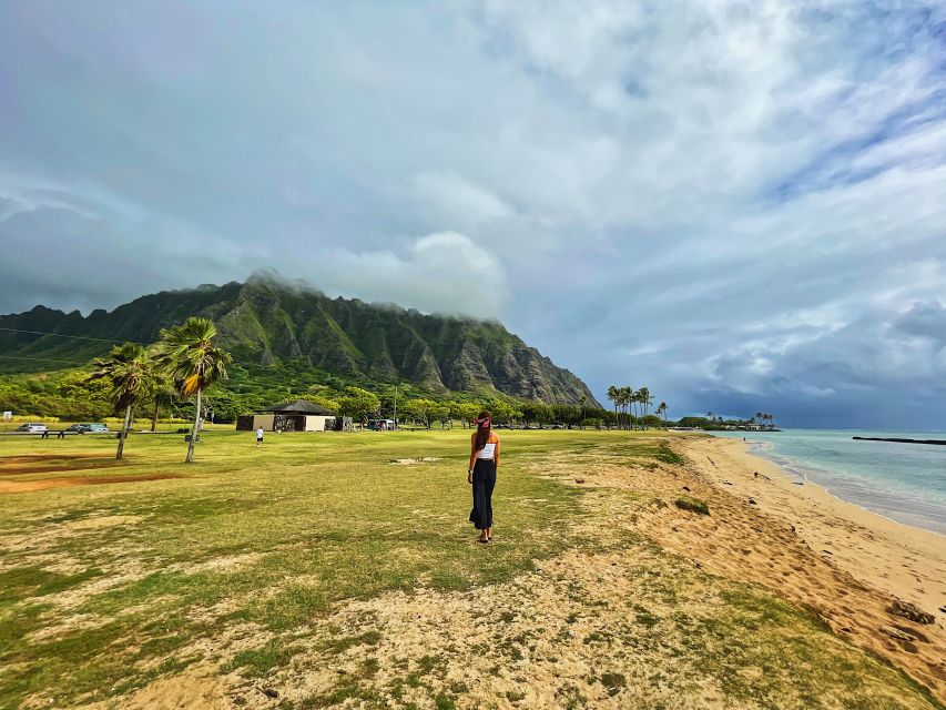 Oahu: North Shore Experience and Dole Plantation - Dole Plantation: Dole Whip, not a full plantation tour