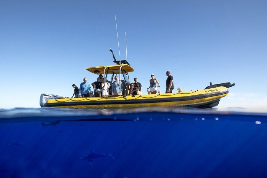 Oahu: North Shore Haleʻiwa: Private Boat Charter - What the private price means for your group